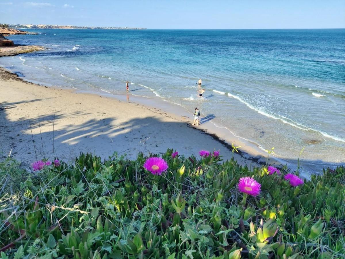 El Apartamento De Papa - Mil Palmeras Dehesa de Campoamor  Экстерьер фото