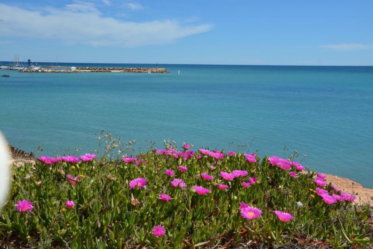 El Apartamento De Papa - Mil Palmeras Dehesa de Campoamor  Экстерьер фото